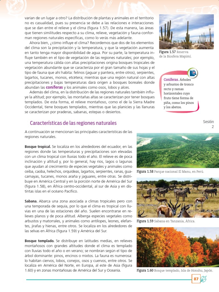 Regiones Naturales | PDF | Clima | Desierto