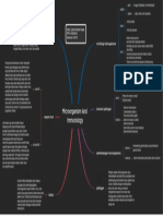 Microorganism and Immunology: Morfologi Mikrorganisme Flora Normal