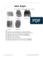 4.5 Tabular Keys: Use The Classification Key Below To Identify The Fingerprint Patterns (V To Z) Illustrated