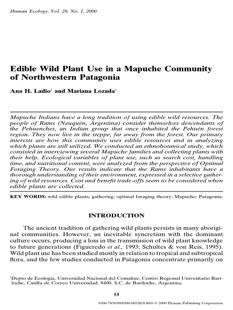 Summer Cattle Transhumance and Wild Edible Plant Gathering in A Mapuche