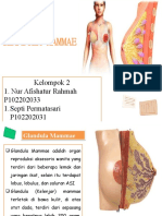 Kelompok 2 Glandula Mammae