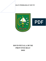 Laporan Perbaikan Mutu: Rsud Petala Bumi Provinsi Riau 2022