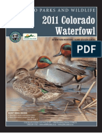 2011 Colorado Waterfowl: Colorado Parks and Wildlife