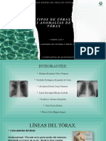 Tipos de Tórax Y Anomalías de Tórax: G R U P O 2 1 0 3 Anatomía de Columna Y Pelvis