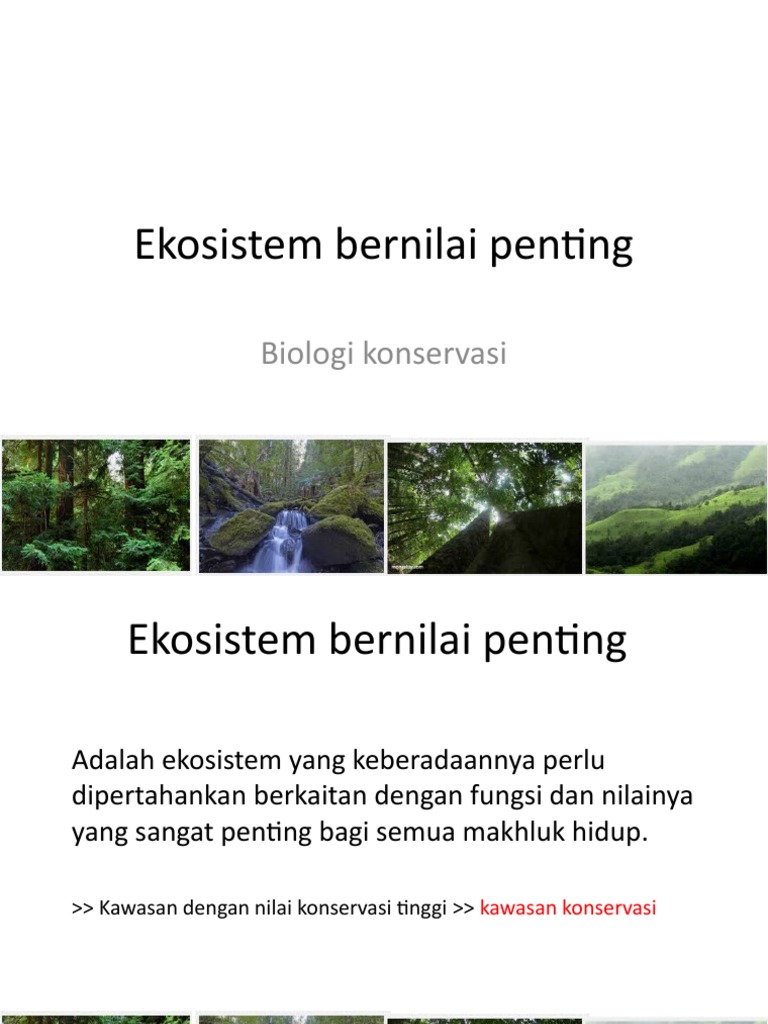 Mengapa Layanan Ekosistem Penting bagi Ekonomi, Budaya, dan Kehidupan Manusia?