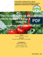 Tomate