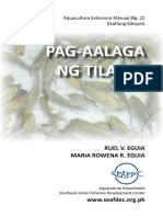 Pag-Aalaga NG Tilapia