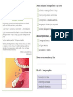 Guía Comprensión Lectora N 3