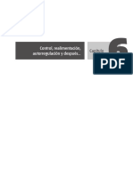 Control, Realimentación, Autorregulación y Después : Capítulo