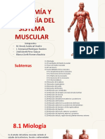 Anatomía Y Fisiología Del Sistema Muscular