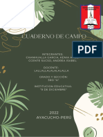 Cuaderno de Campo: 2022 Ayacucho-Perú