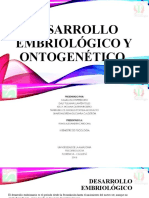 Desarrollo Embriológico Y Ontogenético