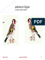 Chardonneret Élégant. (Carduelis Carduelis Carduelis) Edition 2012 Standard COM - OMJ