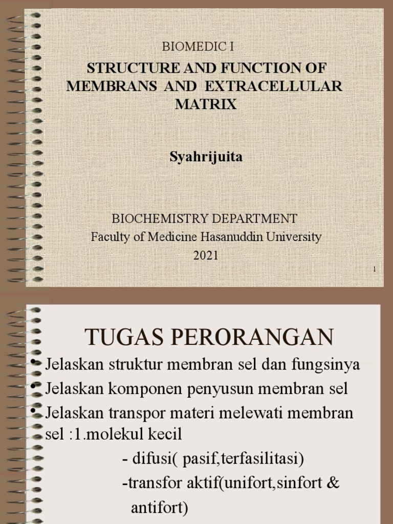 Membran Sel, Matriks (DR Karismananda) | PDF | Extracellular Matrix ...