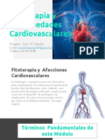 Fitoterapia y Enfermedades Cardiovasculares: Magíster: Juan M. Méndez Correo: - Teléfono: 69-49-78-88