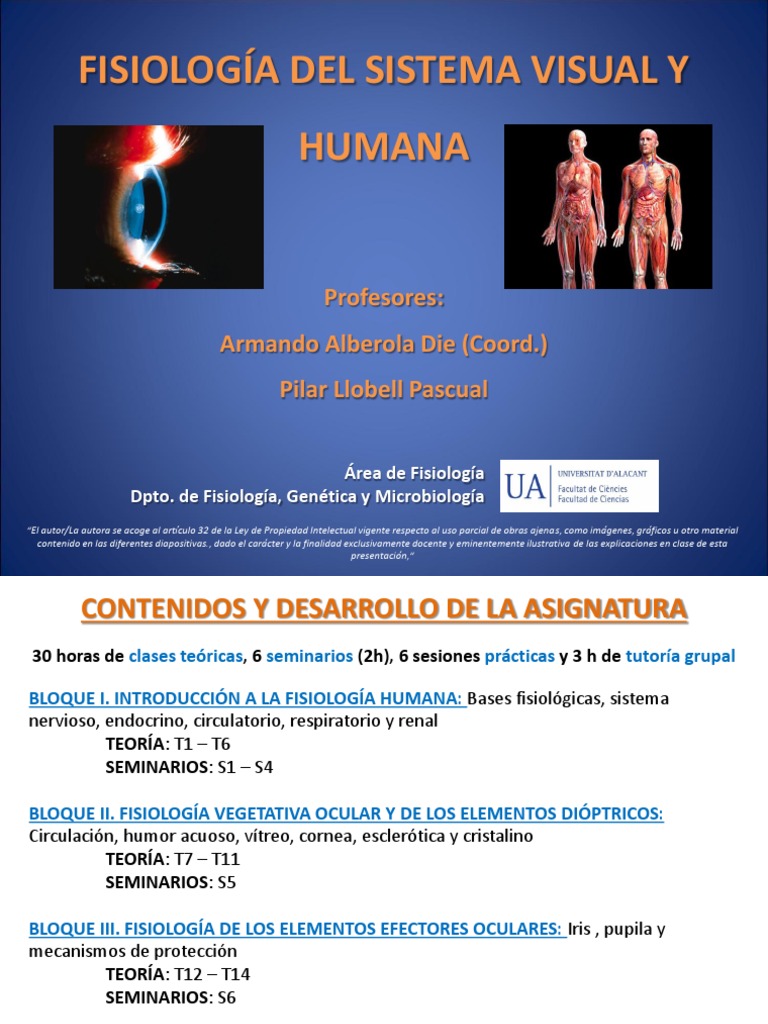 Fisiología Del Sistema Visual Y Humana: Profesores: Armando Alberola ...
