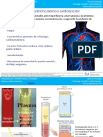 Ud4 FSVH: Sist Cardiovascular