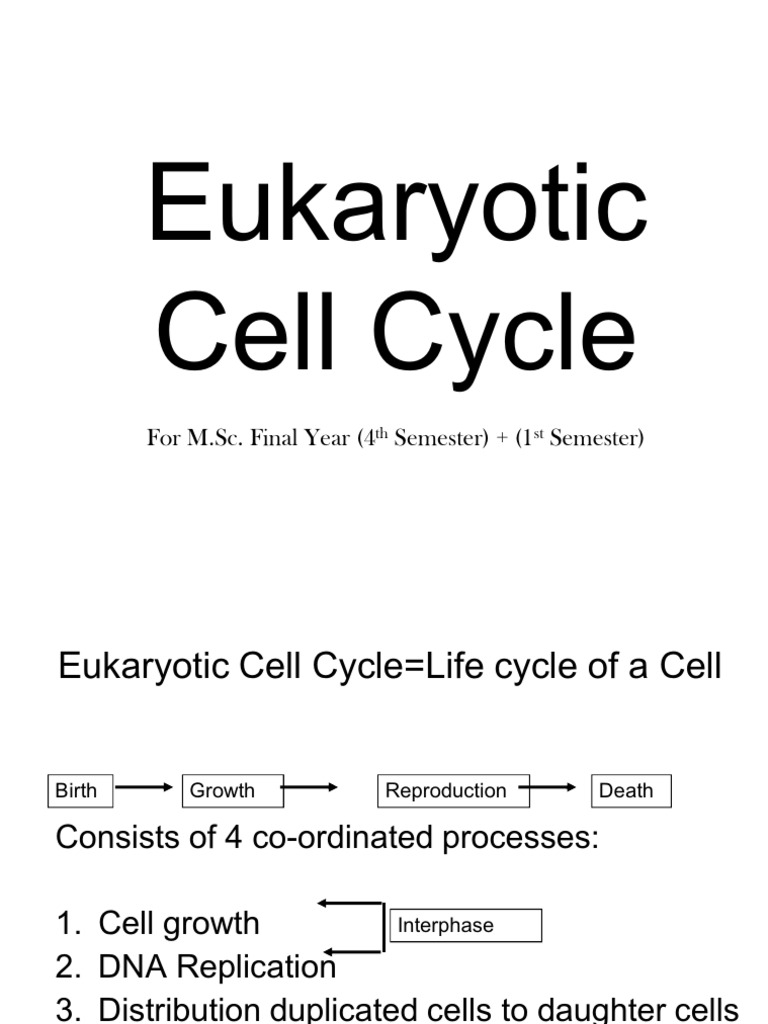Eukaryotic Cell Cycle Biology Diagrams