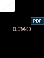 El Cráneo