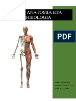 Giza Anatomia Eta Fisiologia: Sonia Rodriguez Irale Larratxo 2019 R400 Ikastaroa