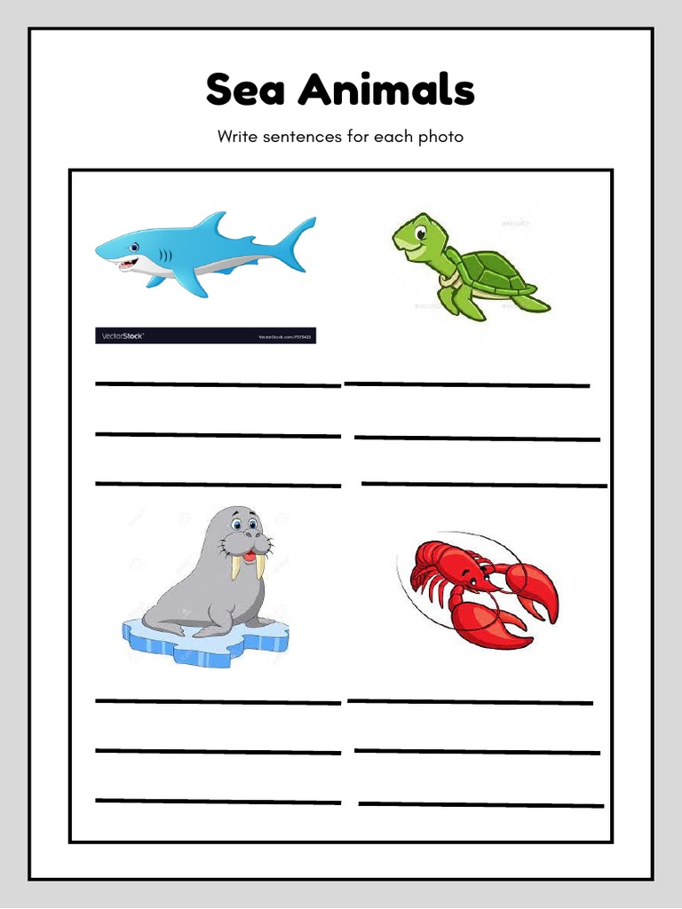 Sea Animals | PDF
