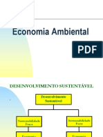 Economia Ambiental: Externalidades e Eficiência