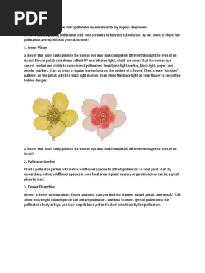 10 Pollination Activities for Kids - pollinator lesson ideas to try in your classroom!