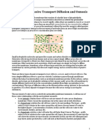 Worksheet: Passive Transport Diffusion and Osmosis