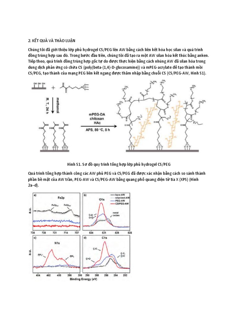 2-4-2-6-pdf