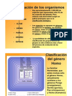 5-La-clasificación-de-los-organismos-2011