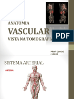 Anatomia Vascular Tomografia