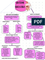 Sistema Digestivo: ¿Por Qué Está Formado?