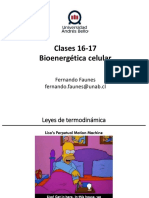 Bioenergetica