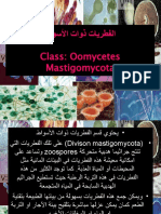 Class: Oomycetes Mastigomycota