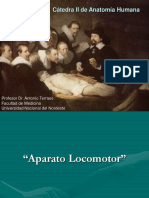 Cátedra II de Anatomía Humana: Profesor Dr. Antonio Terraes Facultad de Medicina Universidad Nacional Del Nordeste