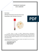 (Room 6) Stool Culture 