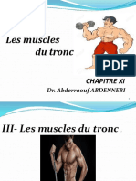 Chapitre 6 MUSCLES DU TRONC