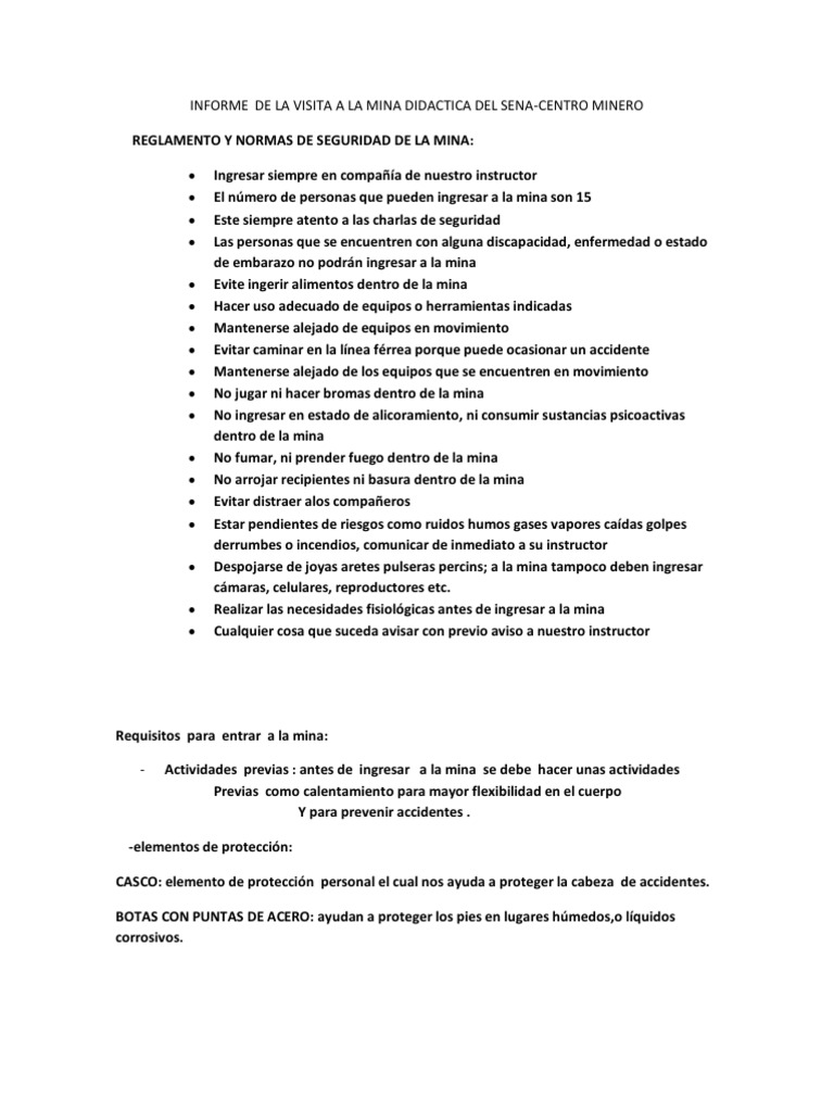 Informe de La Visita a La Mina Didactica Del Sena Final Túnel Metano
