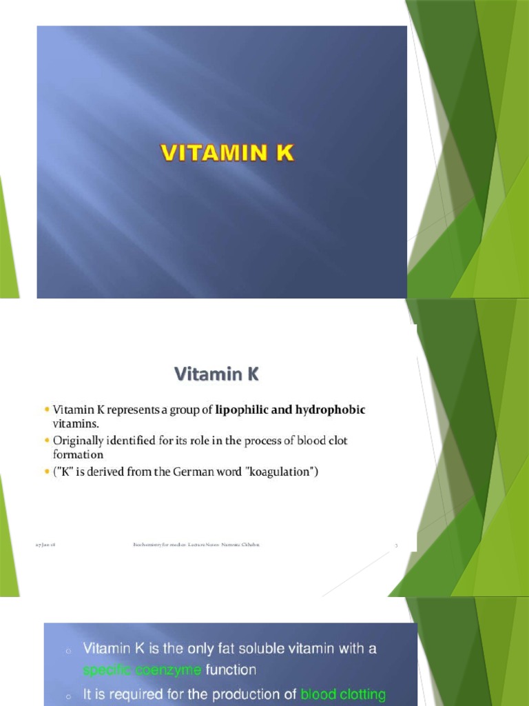 Vitamin K PDF