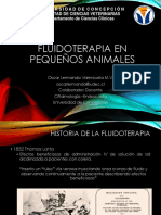 Fluidoterapia en pequeños animales: principios y objetivos