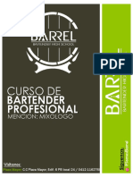 Bartender Profesional Plaza Mayor - Informacion Detallada-1