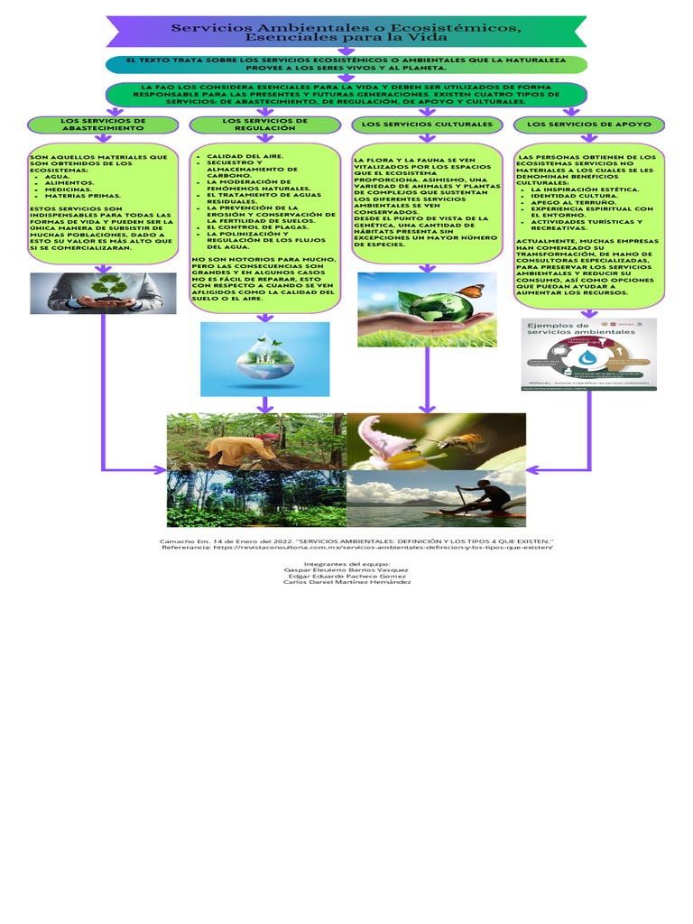 Infografia Servicios Ambientales 3 | PDF | Entorno natural | Ecología ...