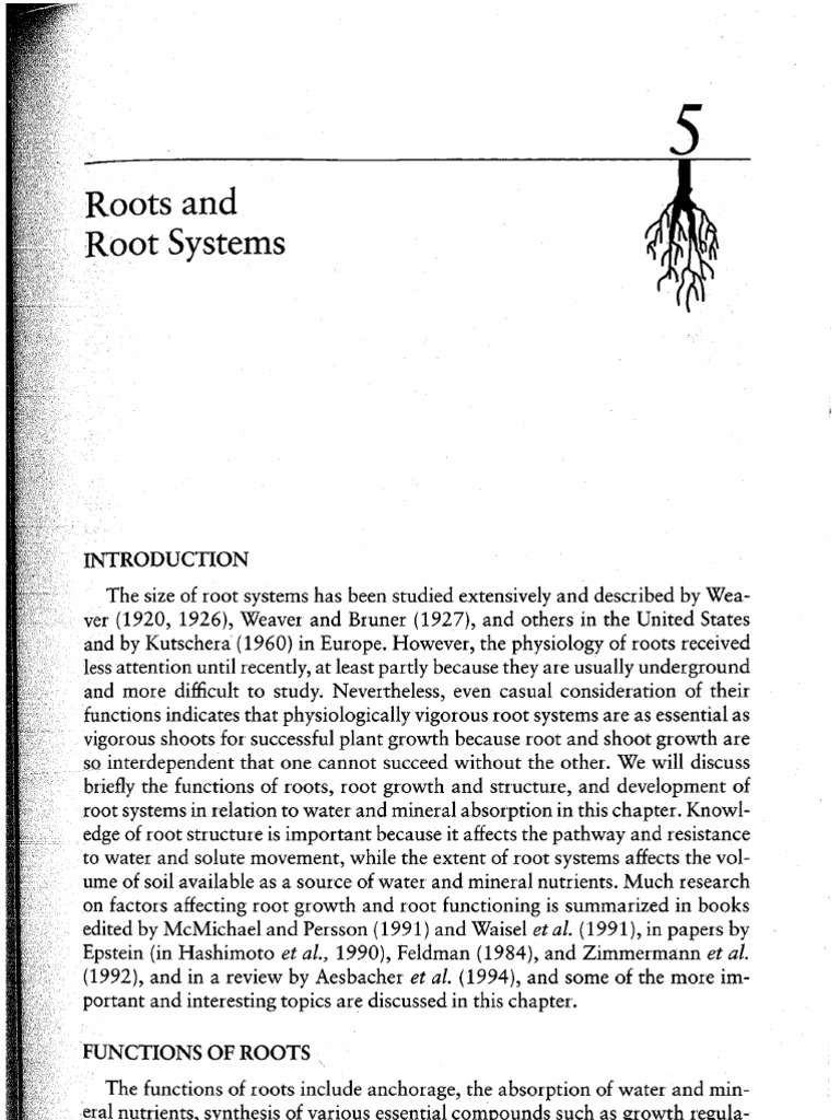 Functions of Root Systems in Plants | PDF | Root | Soil