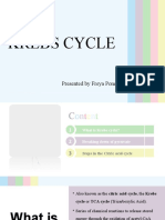 Krebs Cycle: Presented by Freya Ponce