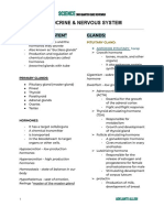 Science: Endocrine & Nervous System