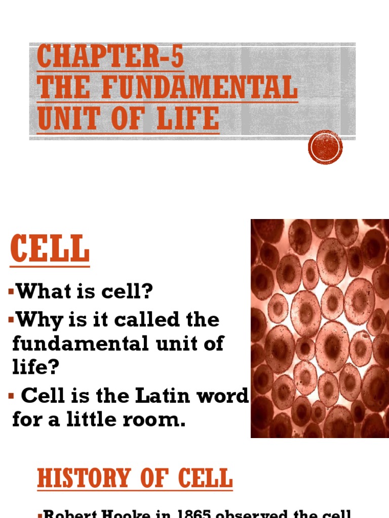 Class 9 Biology Chapter 5 The Fundamental Unit of Life - 1595594568534 ...
