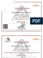 Certificados Minsal