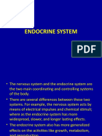 Endocrine System