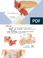 Perfil Pancreático 