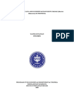 Paper - Strategi Dan Rencana Konservasi Rangkong Badak - Taufik Setiawan - (E351194031)